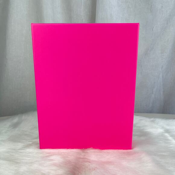 Victoria’s Secret PINK Gift Decor Storage Box Silver Holographic Logo - Picture 3 of 16